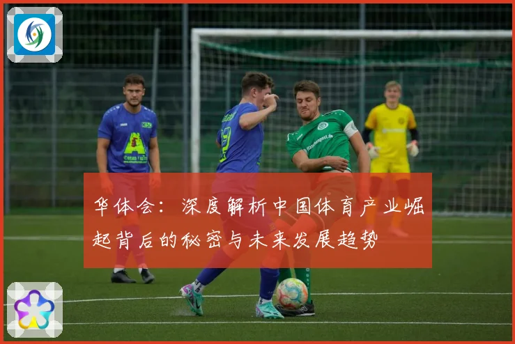 华体会：深度解析中国体育产业崛起背后的秘密与未来发展趋势