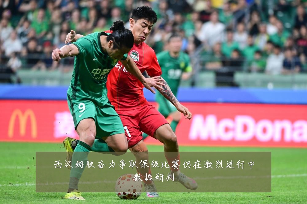 西汉姆联奋力争取保级比赛仍在激烈进行中数据研判
